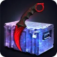 Case Royale: opener simulator