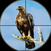Desert Bird Sniper: Wild Hunt