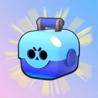 Chest Box Simulator for BS