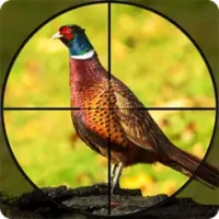 Pheasant Hunt: Bow Shooter 3D