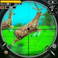 Animal Hunting Game 4x4 Safari
