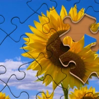 Jigsaw Puzzle Master