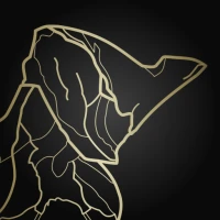 Tenno Trivia – Warframe Quiz