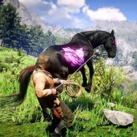 Dream Horse 3D : Ranch Life