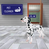 Pet Animal Shelter Rescue Game