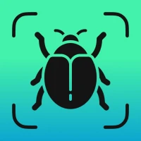 Insect Identifier - Insectium