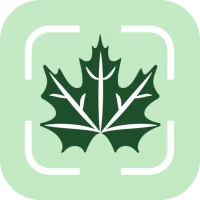 Plant Identifier AI Scanner