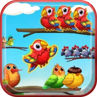 Bird Sort - Bird Match