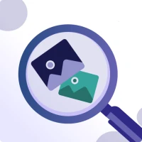 Reverse Image Search by Image