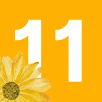 Digital Clock - Pomodoro Timer