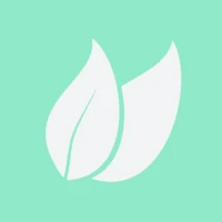 Mint Lol - Mint Solana NFTs