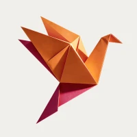 Origami Paper, Origami Guide