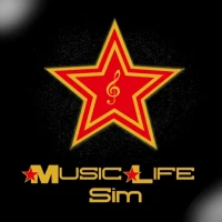 Music life sim