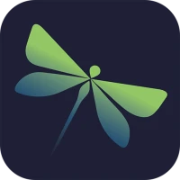Dragonfly Hub