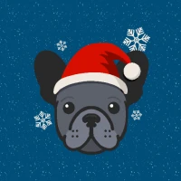 Christmas Crush: Holiday Match