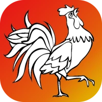 Bird Coloring for Kids