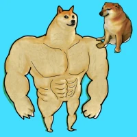 Shibe doge evolution