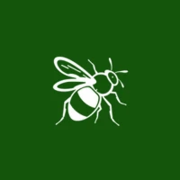 Bug Identifier By Picture