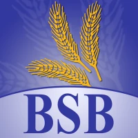 BSB Mobile