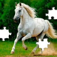 Jigsaw Puzzles: Jigsawgram