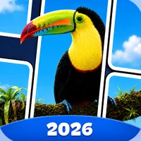 Jigsaw Solitaire: Drop Puzzle