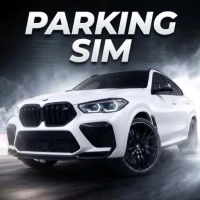 Real Car Parking Academy 3D