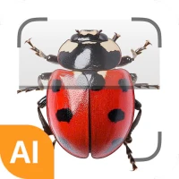 Insect ID - AI insect identify