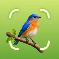 Bird Identifier Sound Call ID